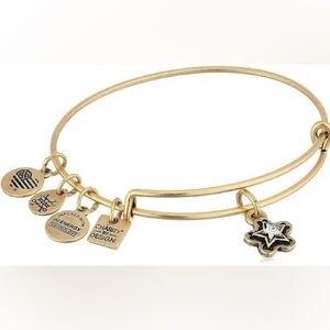 Alex And Ani True Wish Charm Bangle Bracelet